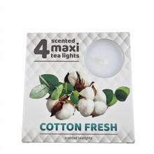 ČAJOVÉ VOŇAVÉ MAXI/4 BAVLNA 6x6x2,2cm - FLORASYSTEM