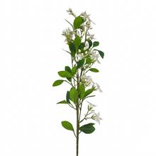 KS JAZMÍN BIELA 101CM - FLORASYSTEM