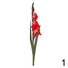 Umelé kvety gladiola v mixe farieb.