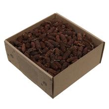 Birch pine/šiška natur 250g. - FLORASYSTEM