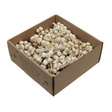 Acorn bunch bielené 440g - FLORASYSTEM