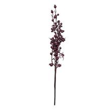 KONÁR BORDOVÉ ŠÍPKY 66CM - FLORASYSTEM