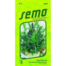 Semená bylinky Yzop lekársky 0,4g od SEMO.