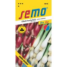 Semená cibule zmes farieb 2g od SEMO.
