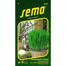 Semená veľkonočnej pažite 5g