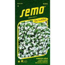 Semená lobelky bielej v balení 0,25g.