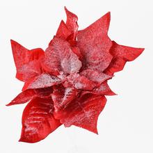 POINSETTIA ČERVENÁ ZASNEŽ. KLIP 15CM - FLORASYSTEM