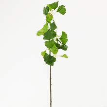 KONÁR  LIST GINKO 70CM ZELENÝ - FLORASYSTEM