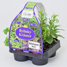 Mix byliniek v črepníku, obsahuje rôzne druhy.