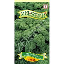 Semená kelu kučeravého VITESSA od ZELSEED.