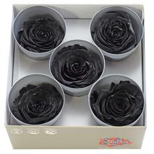 Ruža preparovaná 7cm BLACK /ks - FLORASYSTEM