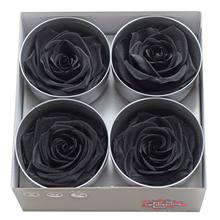 Ruža preparovaná 7/8cm BLACK /ks - bal. 4 ks - FLORASYSTEM