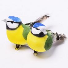 Modrozelene vtáčiky na štipci