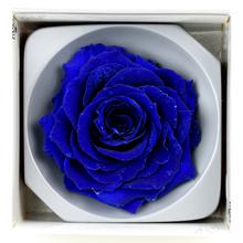 Ruža preparovaná 9cm DARK BLUE /ks - FLORASYSTEM