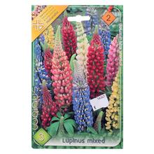 Zmes lupínov s rôznymi farbami kvetov.