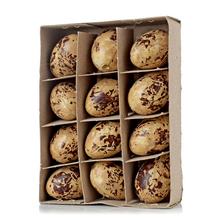 Box s prepelíčími vajíčkami, 12 kusov.