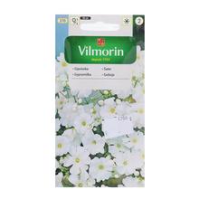 Semená gypsomilky bielej 5g