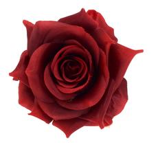 Umelá ruža tmavočervená s priemerom 10 cm.