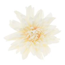 Umelá kvetina hlava dahlia v krémovej farbe, priemer 4 cm.