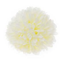Hlava chryzantémy krémová 12 cm