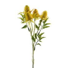 Umelé kvety Eryngium-bodliak v žltej farbe.