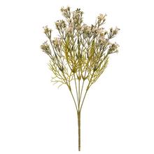 Umelé kvety Waxflower v zelenej a ružovej farbe, 36 cm.
