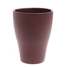 Obal na orchideu v marsala farbe.