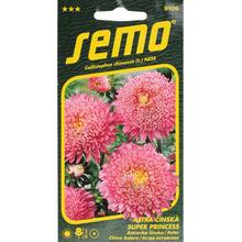 Semená astra čínska Super Princes ružová 0,5g.