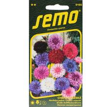 Semená nevädze poľnej v rôznych farbách.