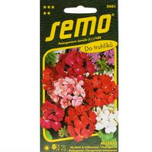 Semená pelargónie krúžkovanej zmes v balení 0,05g.