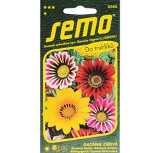 Semená gazánie lesklej zmesi 0,15g od SEMO.