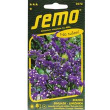 Semená kvetov Limonka zohnutá tmavomodrá 0,5g