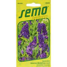 Semená levandule Munstead Blue 0,4g