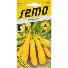 Semená tekvice Yellowstar F1 od SEMO.
