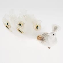 Biely páv na štipci s perím.