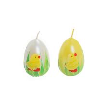 Biele vajce so žltým kuriatkom a kvetmi