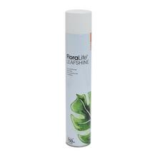 FLORALIFE Spray lesk na listy 750ml