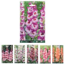 Zmes gladiolov v rôznych farbách.