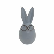 Zajačik s okuliarmi