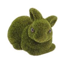 Zelený machový zajačik ležiaci
