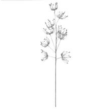 Umelý konár Daucus strieborný 70 cm.