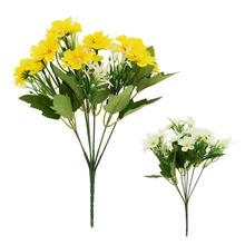 Kytica anemone s lúčne kvety v mixe farieb.