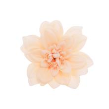 Umelá kvetina hlava dahlia v krémovej farbe.