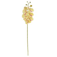 Umelá orchidea Phalaenopsis v bledozltej farbe s ružovým melírom.