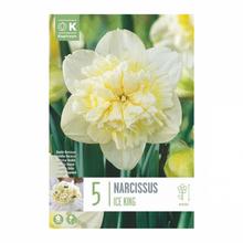 Narcis Ice King 5ks
