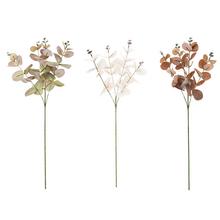 Konár eukalyptu Cinerea 4F 60CM v rôznych farbách.