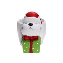 Obal mačka s darčekom