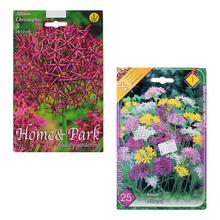 Zmes cibúľ Allium Mix II s farebnými kvetmi.