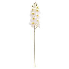 Biela orchidea Phalaenopsis s dĺžkou 95 cm.