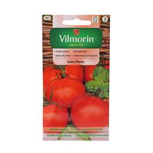 Semená rajčiaka Saint Pierre 1g